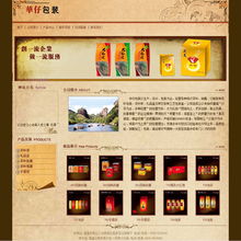 專業(yè)網(wǎng)站建設(shè)與小程序定制服務，品質(zhì)保障，價格公道