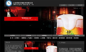 名域網(wǎng)絡 助力臨沂企業(yè)數(shù)字化轉型的專業(yè)建站與維護服務