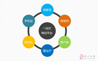 周口指尖傳媒 專業(yè)網(wǎng)站建設與維護的領航者