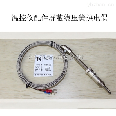 壓簧偶與螺釘偶熱電偶 工業(yè)溫度測(cè)量的卓越之選